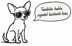 Hand-drawn dog in sunglasses saying in Spanish that the agent also speaks Spanish quite well.
